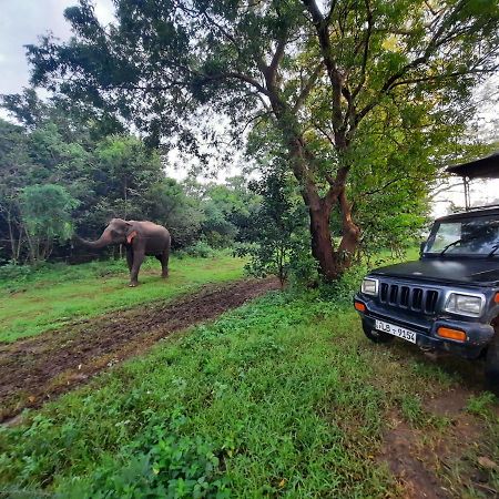 Hostel -In Frant Of The National Park- Udawalawe Bagian luar foto