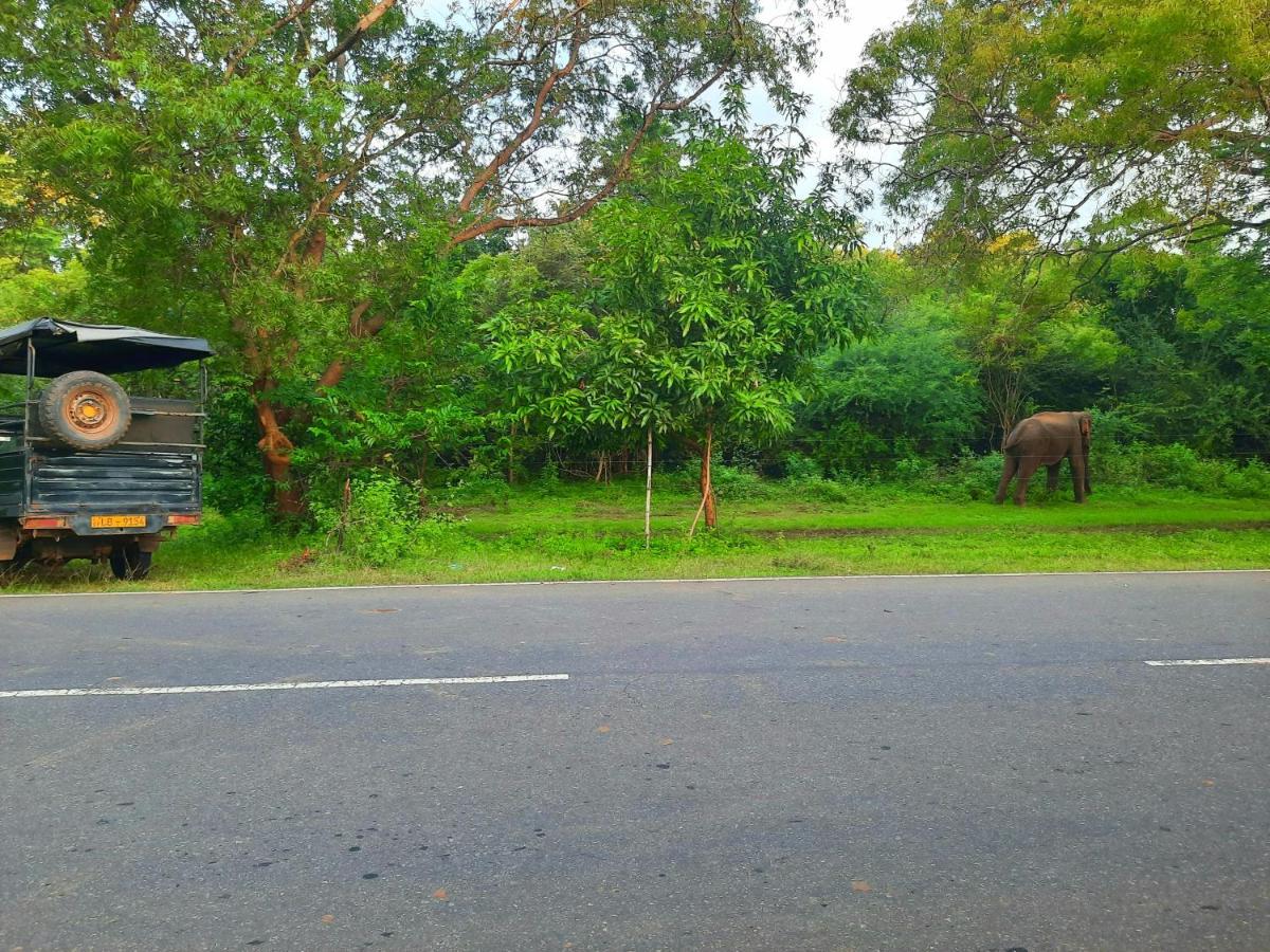 Hostel -In Frant Of The National Park- Udawalawe Bagian luar foto